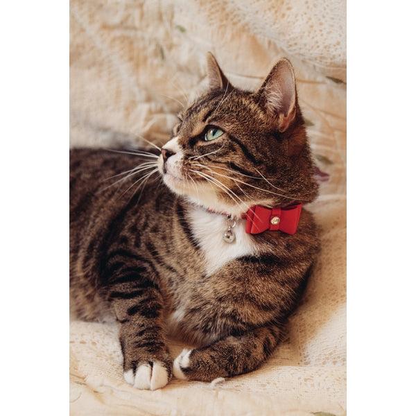 Elegant Red Bow Tie Cat Collar In Rosewood Finish