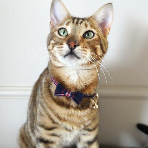 Chic Rosewood Navy And Red Tartan Cat Collar For Stylish Felines