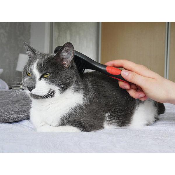 Gentle Rosewood Cat Brush For Soft Coats And Scratch-Free Grooming