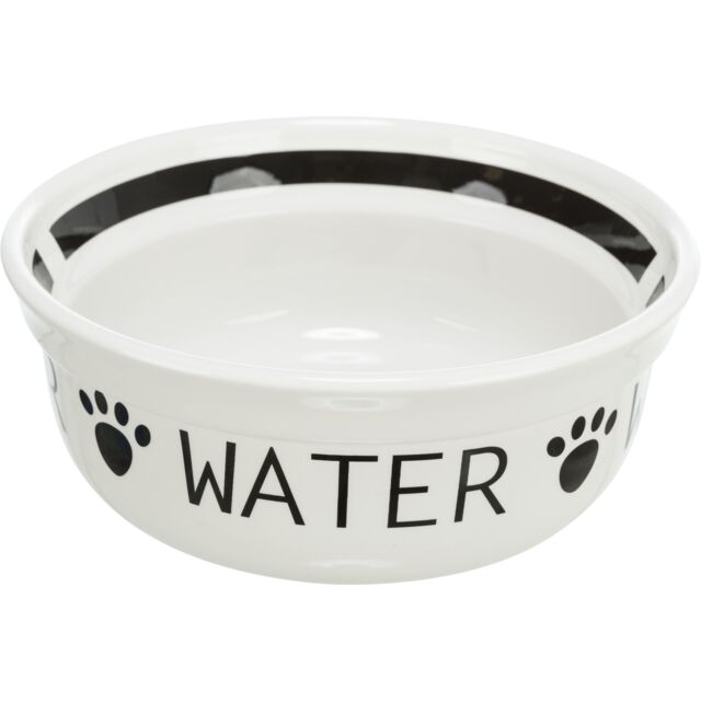 Elegant Ceramic Water Bowl For Stylish Hydration