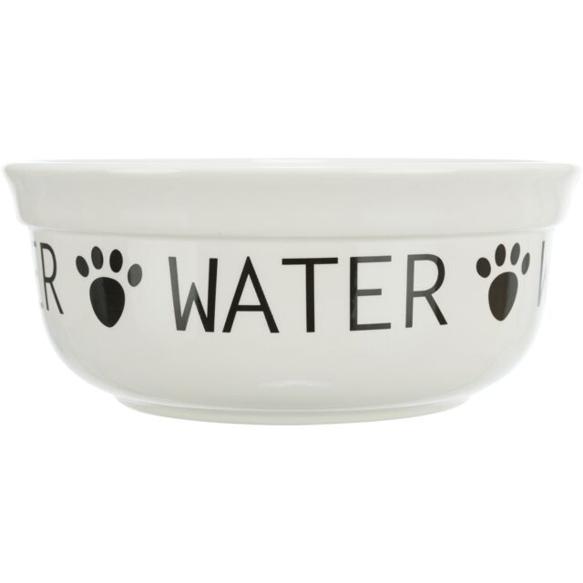 Elegant Ceramic Water Bowl For Stylish Hydration